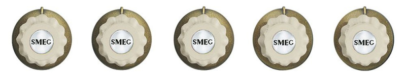 507845fd-5813-11eb-811d-001d60bde2ae-1