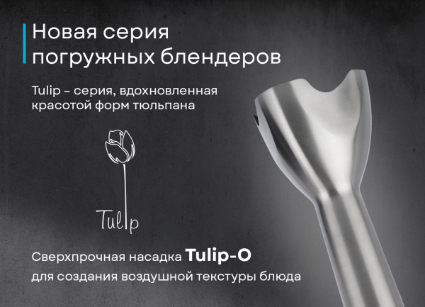 KHB 0315 W Tulip_V5