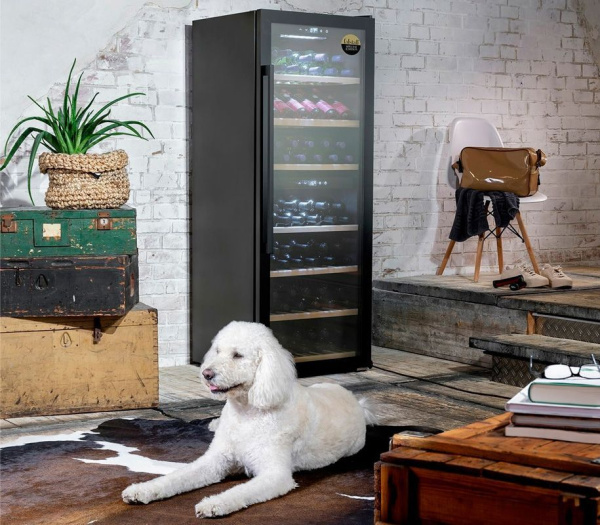 83c36b01-76c1-11ec-815d-001d60bde2ae-2