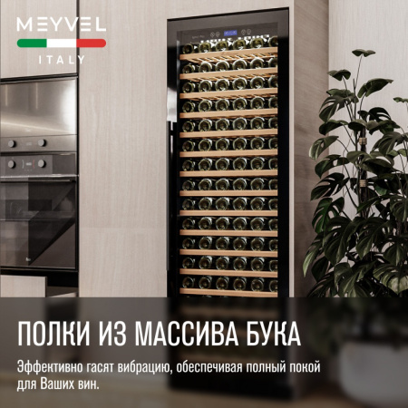 MV171-KBT1_V21
