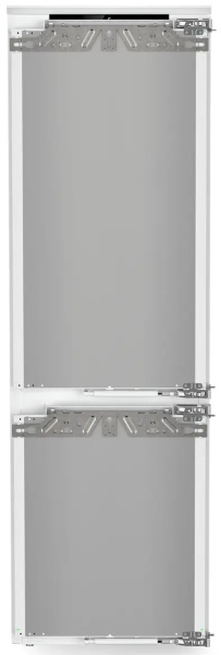 ICBNci 5153_V3