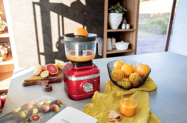 2c60bfe2-5d65-11eb-811d-001d60bde2ae-8