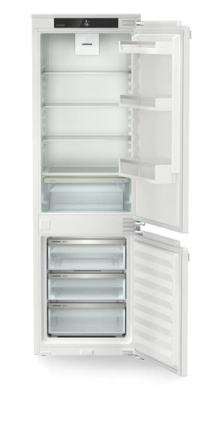 ICNf 5103_V2