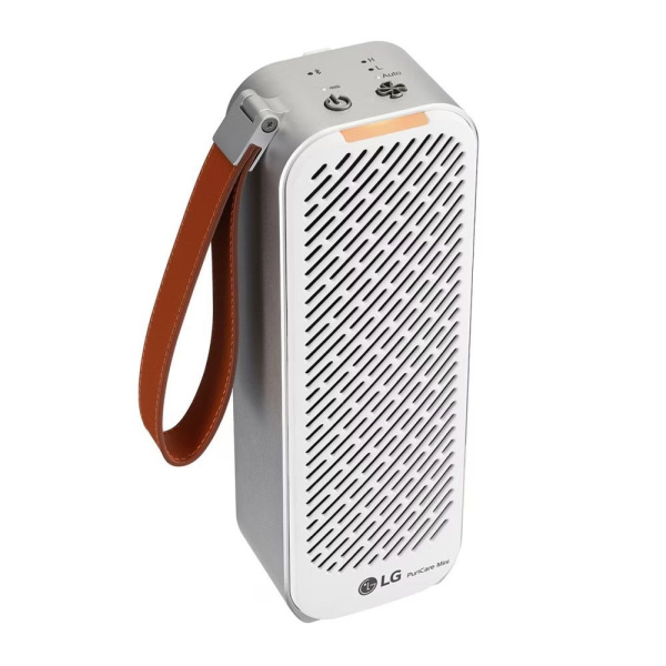 d99b2c46-58da-11eb-811d-001d60bde2ae-2