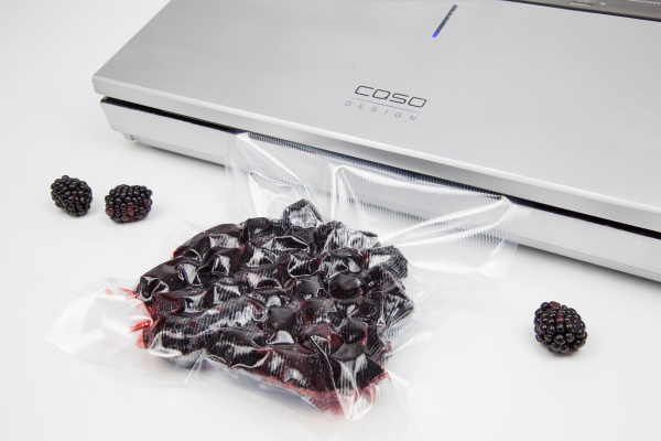 GourmetVAC 480_V4