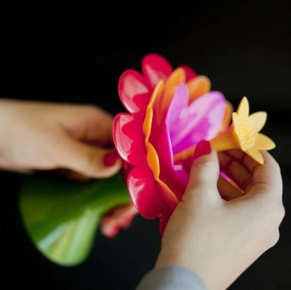 e4d93d1f-264a-11e6-81ef-002590aecc74-9