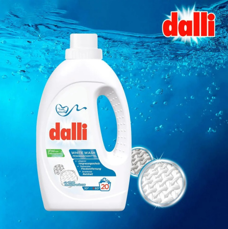 dalli-66_V6