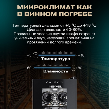 MV12-CBD1_V10