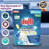 dalli-28_V2