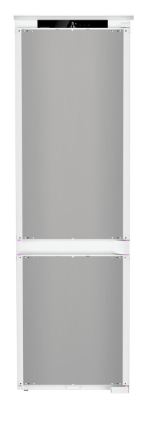 ICNSe 5123_V2